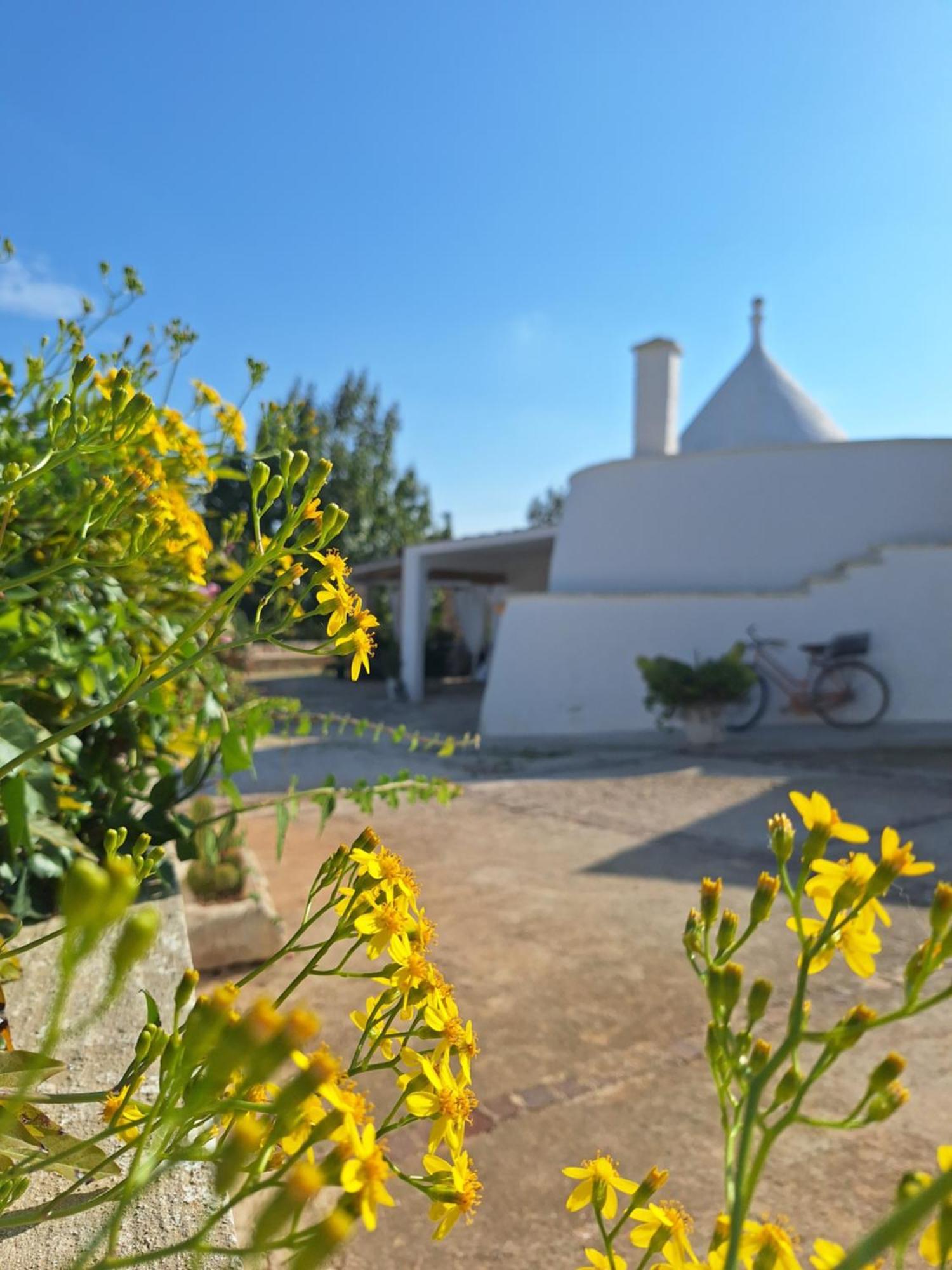 אוסטוני Holiday Home Trullo Antico מראה חיצוני תמונה